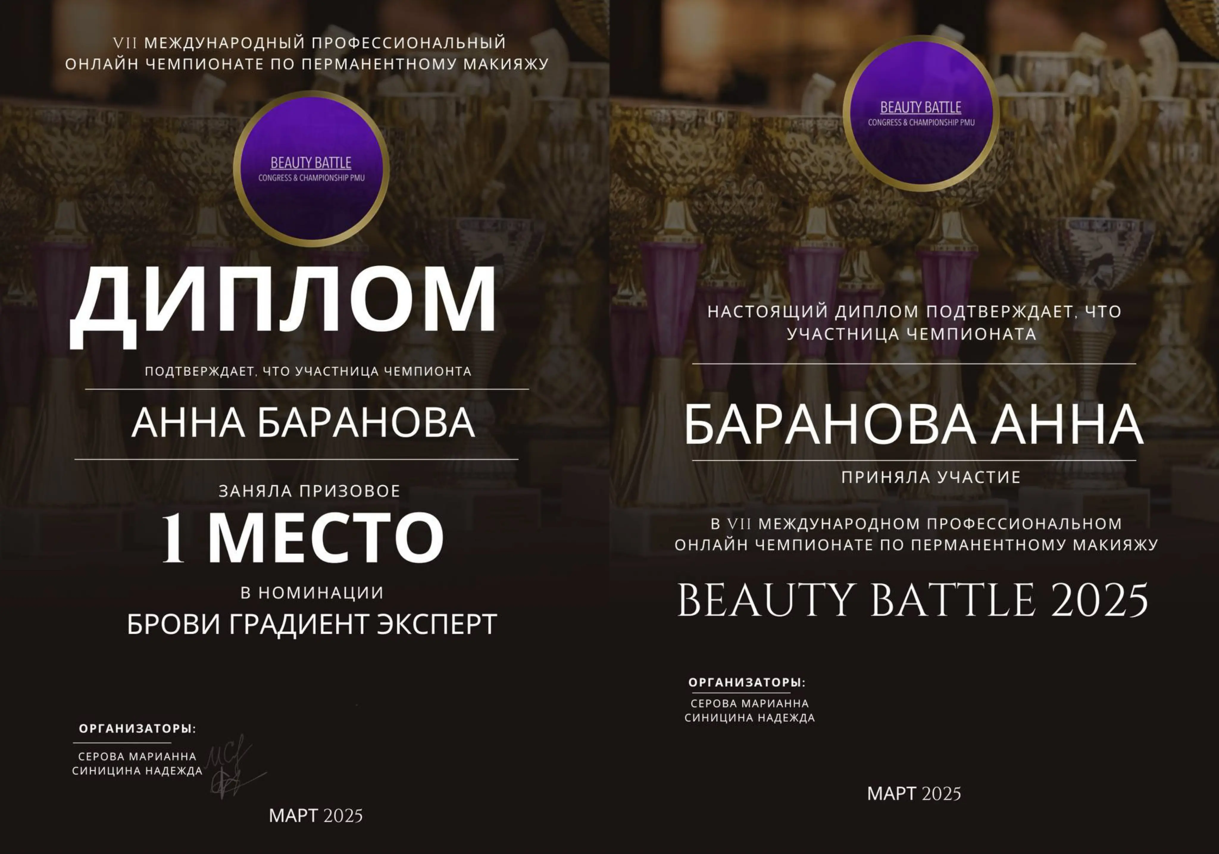 Сертификат Анны Романовой 11